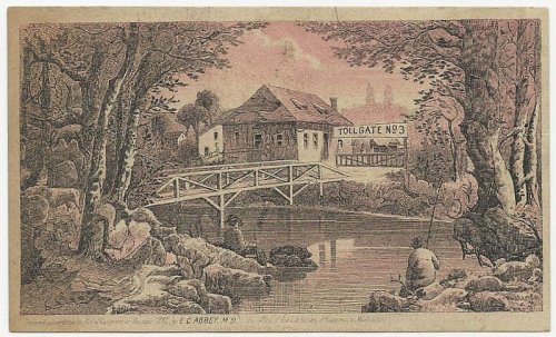VICTORIAN TRADE CARD FOR DR. ABBEY'S GREAT SPECIFIC FOR SKIN DISEASES TOLL GATE 3 PUZZLE CARD