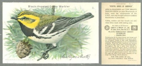 VICTORIAN TRADE CARD FOR CHURCH AND DWIGHT COW BRAND BAKING SODA, USEFUL BIRDS OF AMERICA SERIES, THE BLACK THROATED GREEN WARBLER