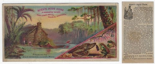 VICTORIAN TRADE CARD FOR AYER'S AGUE CURE WITH SWAMP SCENE