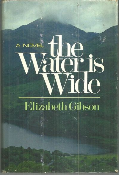 WATER IS WIDE A Novel of Northern Ireland