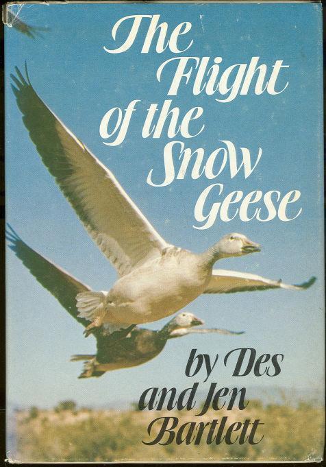 FLIGHT OF THE SNOW GEESE