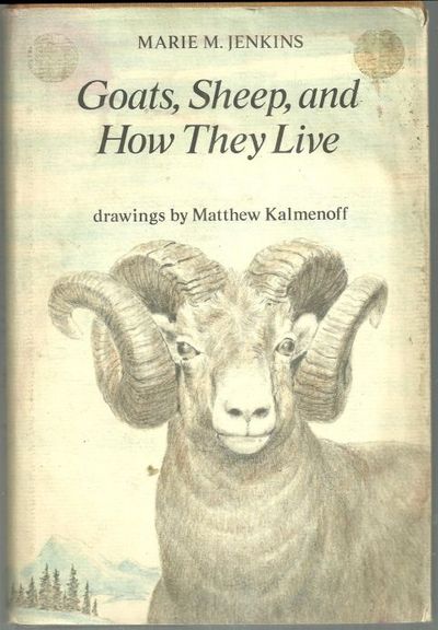 GOATS, SHEEP, AND HOW THEY LIVE