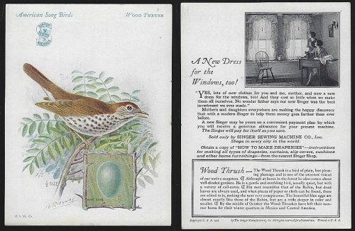 VICTORIAN TRADE CARD FOR SINGER SEWING MACHINE AMERICAN SONG BIRDS SERIES THE WOOD THRUSH