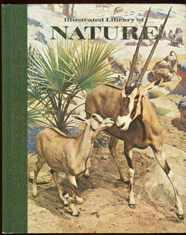 ILLUSTRATED LIBRARY OF NATURE Mammals-Nature Hobbies
