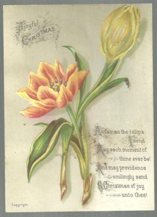 VICTORIAN CHRISTMAS CARD WITH TULIPS