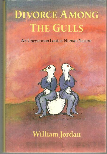 DIVORCE AMONG THE GULLS An Uncommon Look At Human Nature