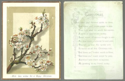 VICTORIAN HILDESHEIMER AND FAULKNER CHRISTMAS CARD WITH APPLE BLOSSOMS AND BURNSIDE POEM