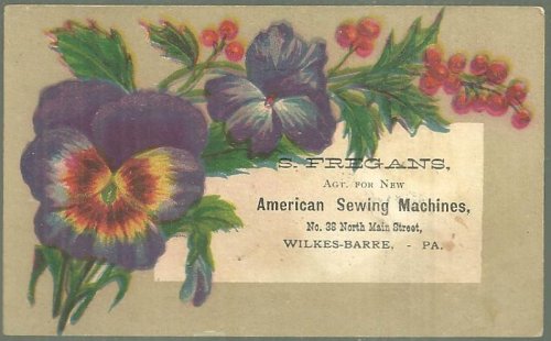 VICTORIAN TRADE CARD FOR S. FREGANS, AGENT FOR NEW AMERICAN SEWING MACHINES, WILKES-BARRE, PA WITH PANSIES