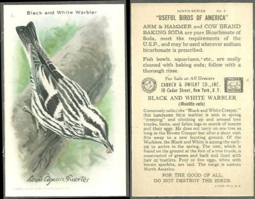 VICTORIAN TRADE CARD FOR ARM AND HAMMER BAKING SODA, USEFUL BIRDS OF AMERICA SERIES, THE BLACK AND WHITE WARBLER