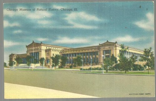 CHICAGO MUSEUM OF NATURAL HISTORY, CHICAGO, ILLINOIS
