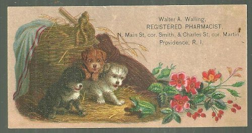 VICTORIAN TRADE CARD FOR WALTER A. WALLING, REGISTERED PHARMACIST, PROVIDENCE, RHODE ISLAND WITH PUPPIES