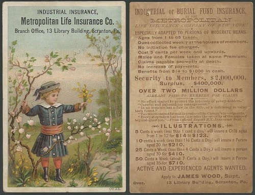 VICTORIAN TRADE CARD FOR THE METROPOLITAN LIFE INSURANCE COMPANY WITH YOUNG BOY PICKING FLOWERS