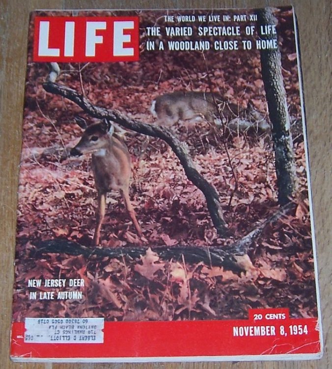 LIFE MAGAZINE NOVEMBER 8, 1954