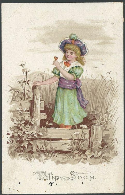 VICTORIAN TRADE CARD FOR TULIP SOAP WITH LOVELY GIRL IN FLOWER FIELD WITH FENCE