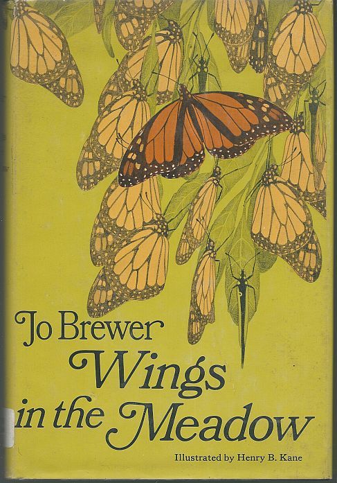 WINGS IN THE MEADOW