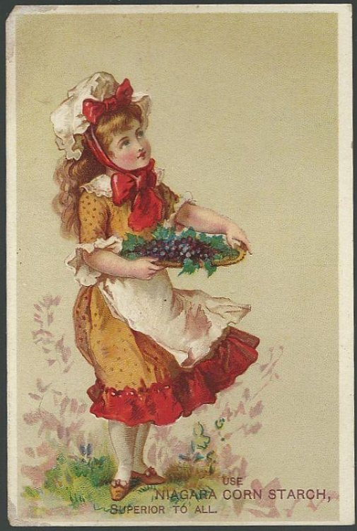 VICTORIAN TRADE CARD FOR NIAGARA CORN STARCH WITH GIRL AND GRAPES