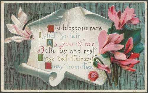 POSTCARD WITH PINK FLOWERS, NO BLOSSOM RARE