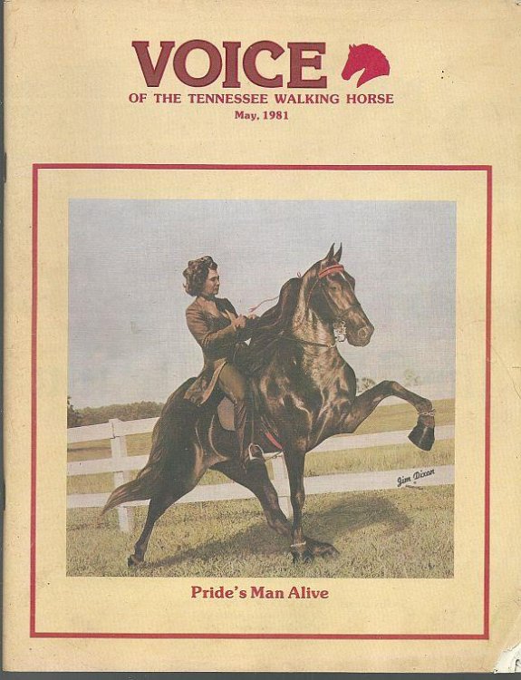 VOICE OF THE TENNESSEE WALKING HORSE MAGAZINE MAY 1981