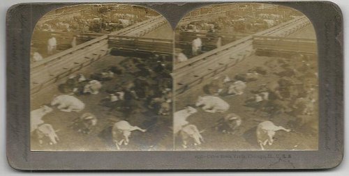 UNION STOCK YARDS, CHICAGO, ILLINOIS