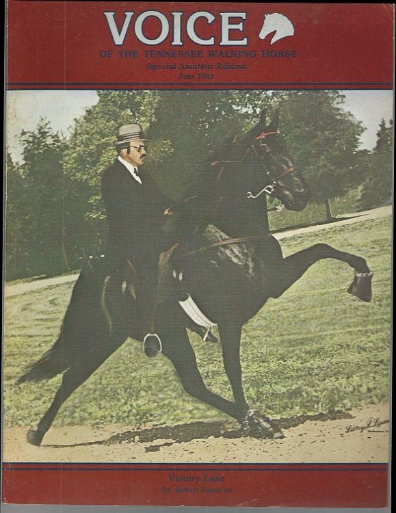 VOICE OF THE TENNESSEE WALKING HORSE MAGAZINE JUNE 1984 Special Amateur Edition
