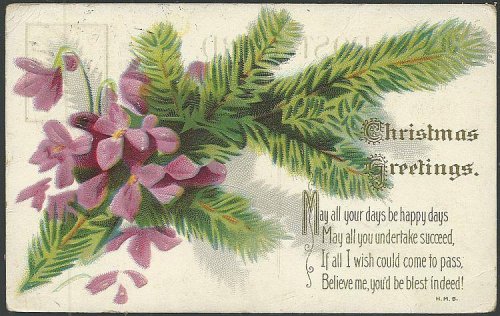 CHRISTMAS GREETINGS POSTCARD WITH VIOLETS AND EVERGREEN