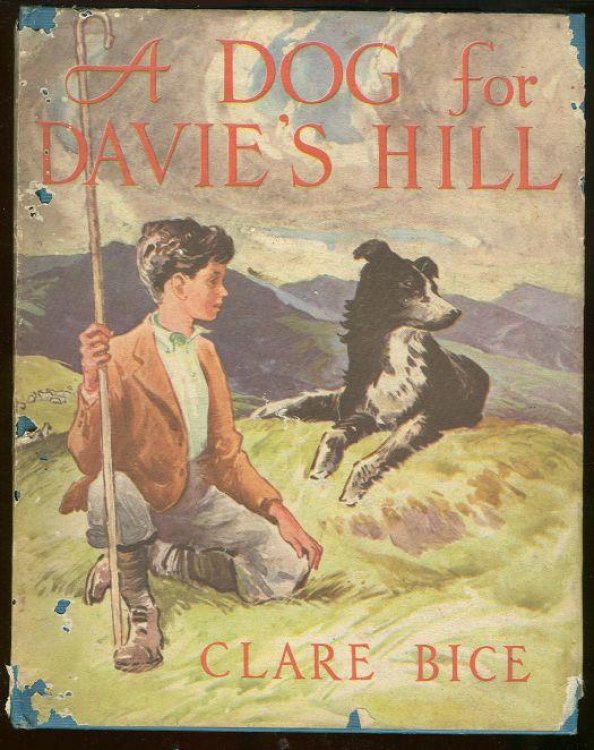DOG FOR DAVIE'S HILL
