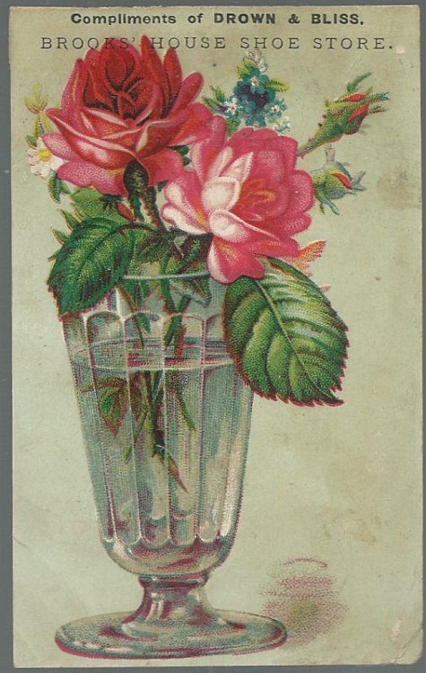 VICTORIAN TRADE CARD FOR DROWN AND BLISS, BROOKS' HOUSE SHOE STORE WITH ROSES