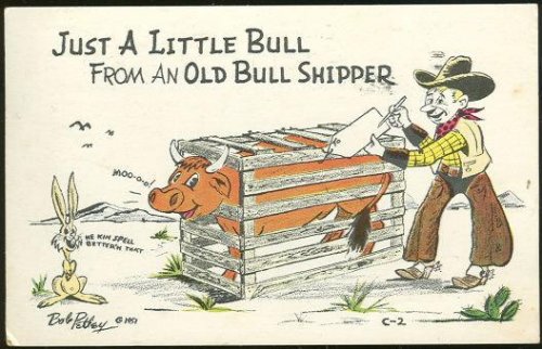 COMIC BOB PETLEY POSTCARD OF LITTLE BULL FROM BULL SHIPPER