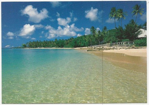 LARGE POSTCARD OF COBBLERS COVE, BARBADOS