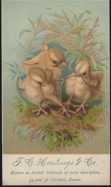 VICTORIAN TRADE CARD FOR F. C. HASTINGS & CO. WITH CHICKS FIGHTING OVER WORM