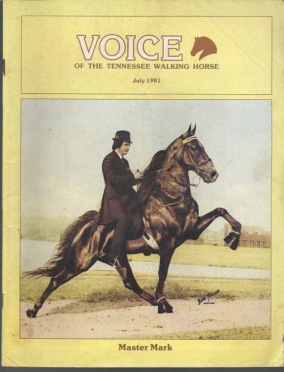 VOICE OF THE TENNESSEE WALKING HORSE MAGAZINE JULY 1981