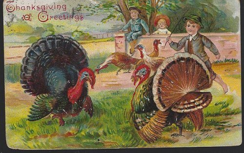 THANKSGIVING GREETINGS POSTCARD WITH CHILDREN AND TURKEYS