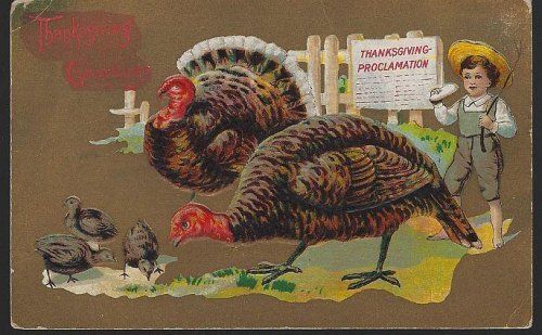 THANKSGIVING GREETINGS POSTCARD WITH BOY AND TURKEYS