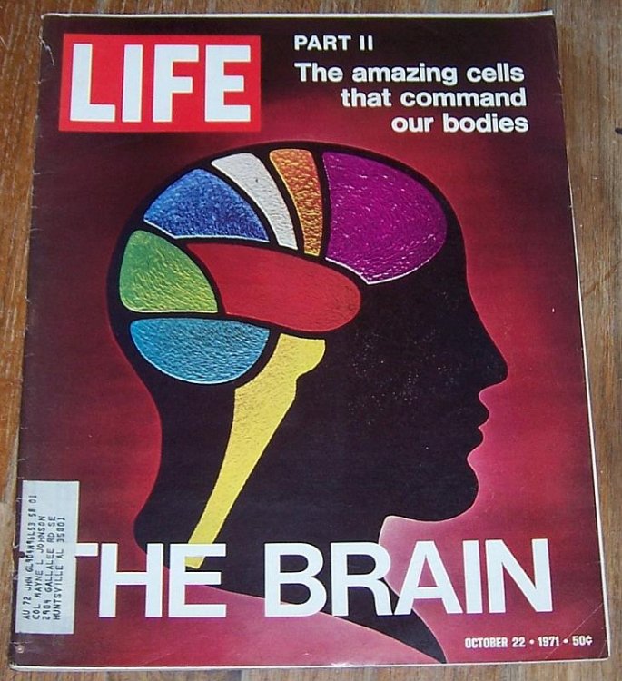 LIFE MAGAZINE OCTOBER 22, 1971