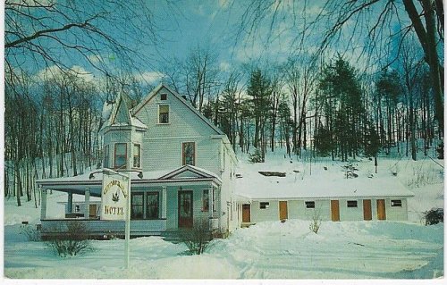 CUT LEAF MAPLES MODERN MOTEL AND GUEST HOUSE, ARLINGTON, VERMONT