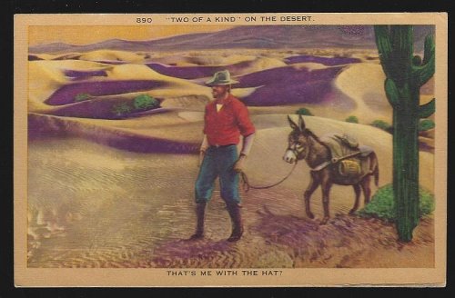 WESTERN COMIC POSTCARD OF TWO OF A KIND, A MAN AND HIS DONKEY