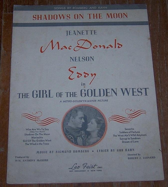 SHADOWS ON THE MOON
