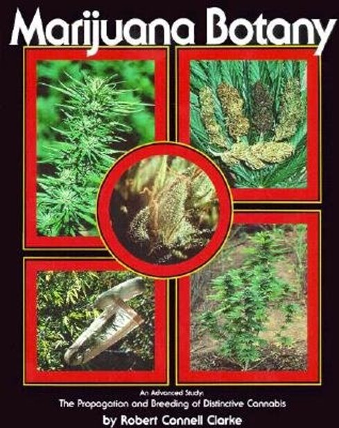 Marijuana Botany : An Advanced Study, the Propagation and Breeding of Distinctive Cannabis