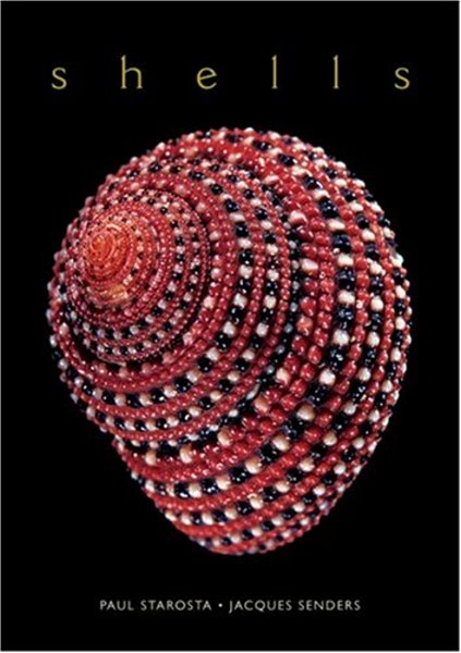 Shells : The Rita and Jacques Senders Collection
