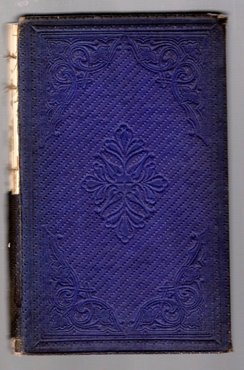 Short Trip in Hungary and Transylvania, a : In the Spring of 1862