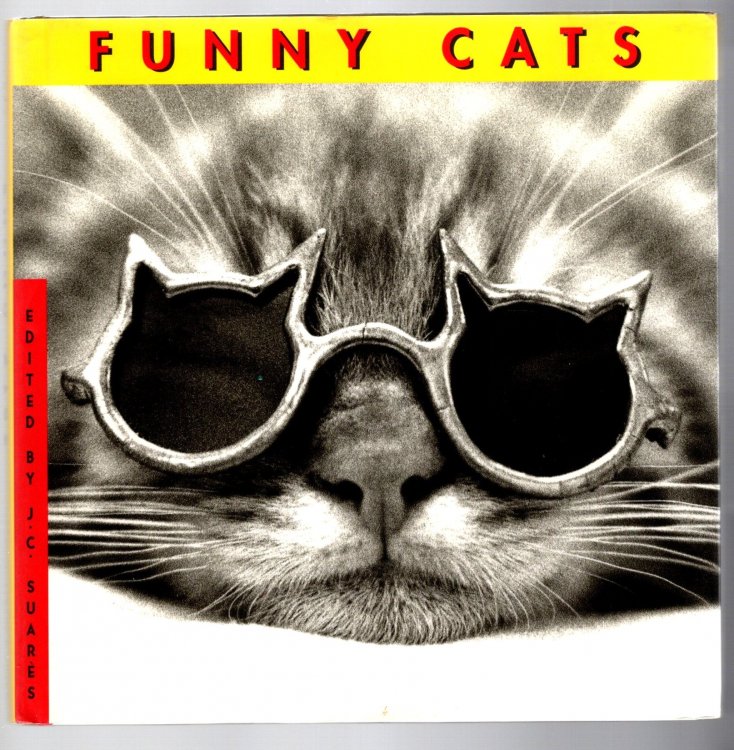 Image for Funny Cats Funny Cats