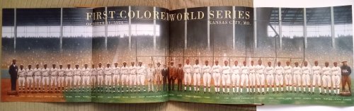 We Are the Ship : The Story of Negro League Baseball