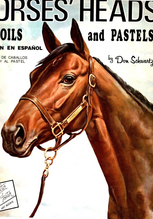 Horses ' Heads in Oils and Pastels : Cabezas de Caballos al Oleo y al Pastel, Edicion en Espanol