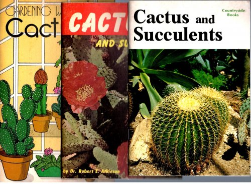 Cactus and Succulents in Your Home