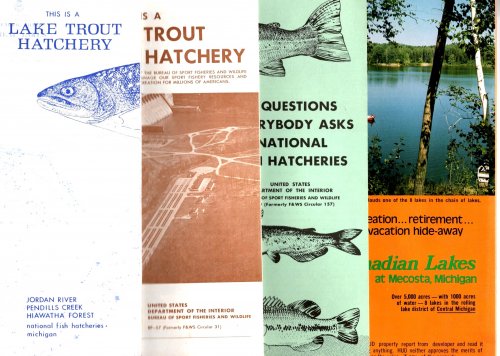 This is a Lake Trout Hatchery : Jordan River, Pendills Creek, Hiawatha Forest, Michigan