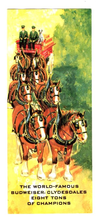 World Famous Budweiser Clydesdales, the : Eight Tons of Champions