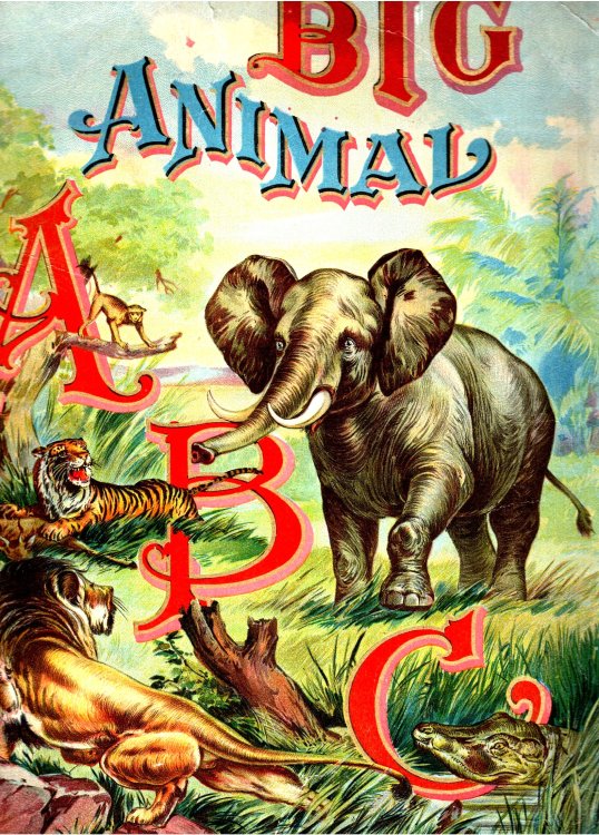 Big Animal ABC