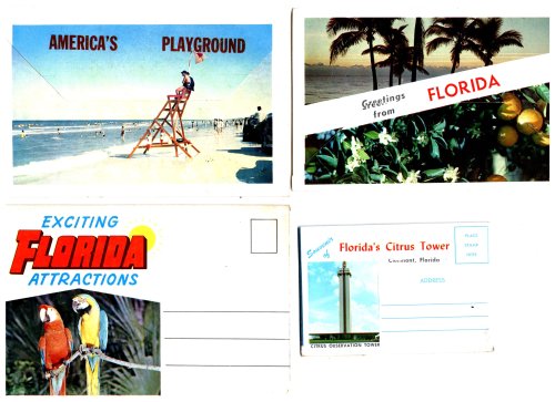 Welcome to Florida : Greetings from Florida ; America's Playground ; Florida Hibiscus ; Exciting Florida Attractions ; Citrus Tower
