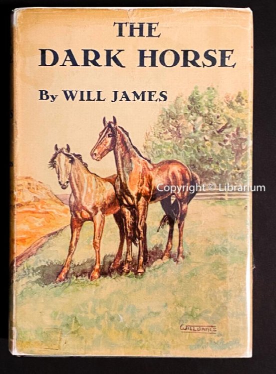 The Dark Horse