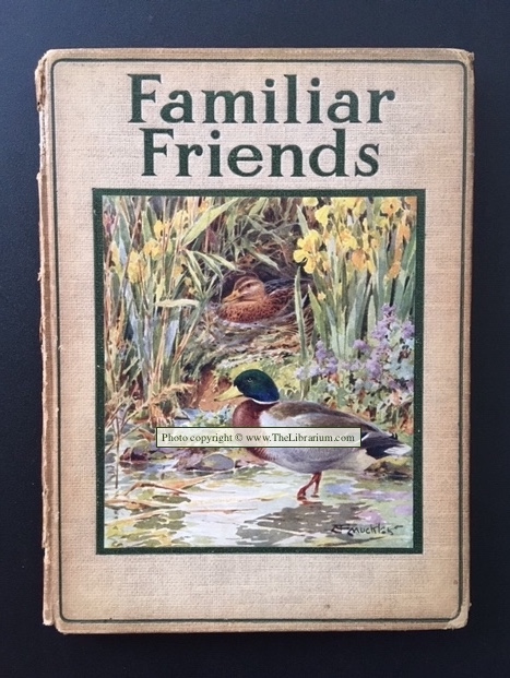 Familiar Friends at Home (The Rambler Nature Books)